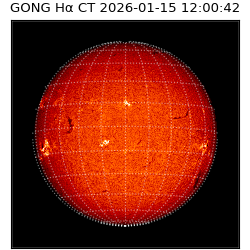 gong - 2026-01-15T12:00:42