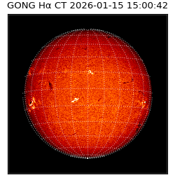 gong - 2026-01-15T15:00:42