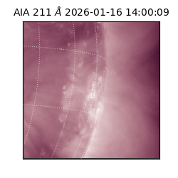 saia - 2026-01-16T14:00:09.626000
