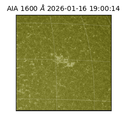 saia - 2026-01-16T19:00:14.126000