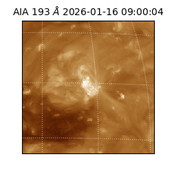 saia - 2026-01-16T09:00:04.838000