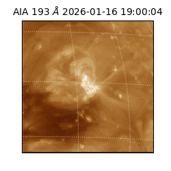 saia - 2026-01-16T19:00:04.843000