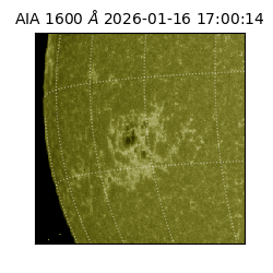 saia - 2026-01-16T17:00:14.125000