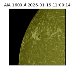 saia - 2026-01-16T11:00:14.126000