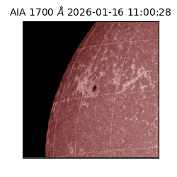 saia - 2026-01-16T11:00:28.721000