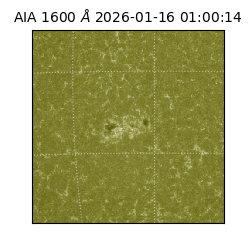 saia - 2026-01-16T01:00:14.126000