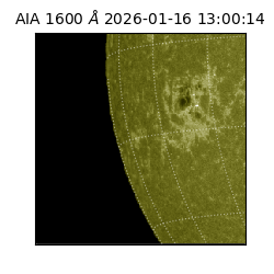 saia - 2026-01-16T13:00:14.125000