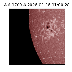 saia - 2026-01-16T11:00:28.721000