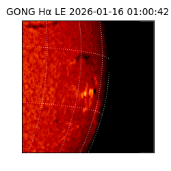 gong - 2026-01-16T01:00:42