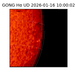 gong - 2026-01-16T10:00:02