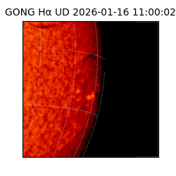 gong - 2026-01-16T11:00:02