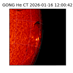 gong - 2026-01-16T12:00:42