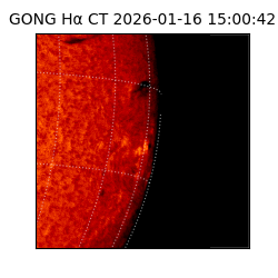gong - 2026-01-16T15:00:42