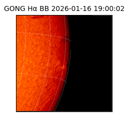 gong - 2026-01-16T19:00:02