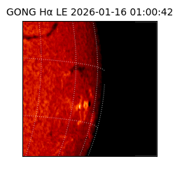 gong - 2026-01-16T01:00:42