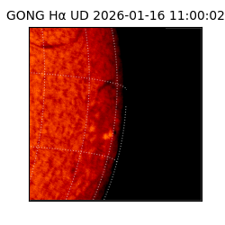 gong - 2026-01-16T11:00:02