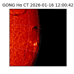 gong - 2026-01-16T12:00:42