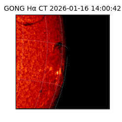 gong - 2026-01-16T14:00:42