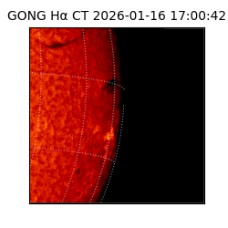 gong - 2026-01-16T17:00:42