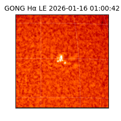 gong - 2026-01-16T01:00:42