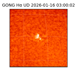 gong - 2026-01-16T03:00:02