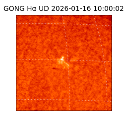 gong - 2026-01-16T10:00:02