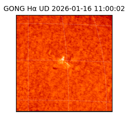 gong - 2026-01-16T11:00:02