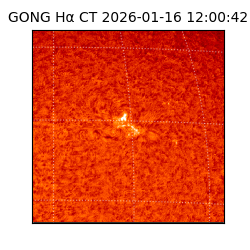 gong - 2026-01-16T12:00:42