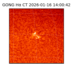 gong - 2026-01-16T14:00:42