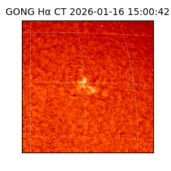 gong - 2026-01-16T15:00:42