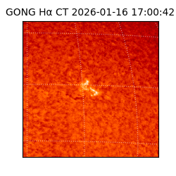 gong - 2026-01-16T17:00:42