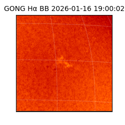 gong - 2026-01-16T19:00:02