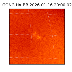gong - 2026-01-16T20:00:02
