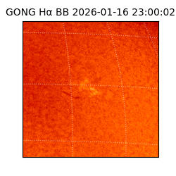 gong - 2026-01-16T23:00:02