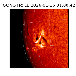 gong - 2026-01-16T01:00:42