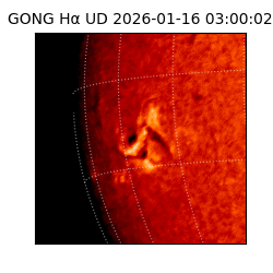 gong - 2026-01-16T03:00:02