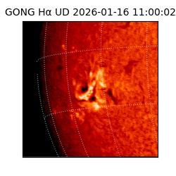 gong - 2026-01-16T11:00:02