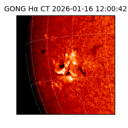 gong - 2026-01-16T12:00:42