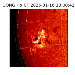 gong - 2026-01-16T13:00:42