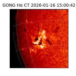gong - 2026-01-16T15:00:42
