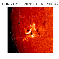 gong - 2026-01-16T17:00:42