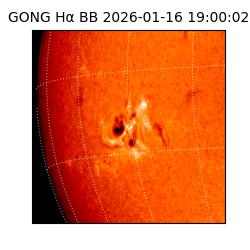 gong - 2026-01-16T19:00:02