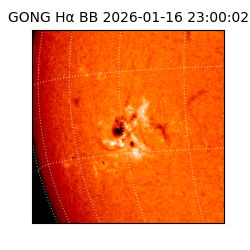 gong - 2026-01-16T23:00:02