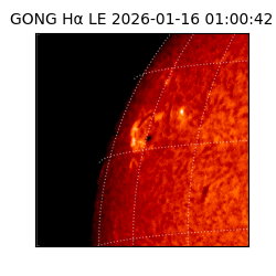 gong - 2026-01-16T01:00:42