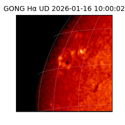 gong - 2026-01-16T10:00:02