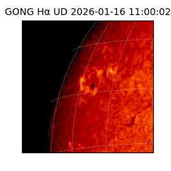 gong - 2026-01-16T11:00:02