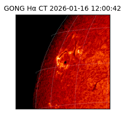 gong - 2026-01-16T12:00:42