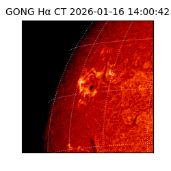 gong - 2026-01-16T14:00:42