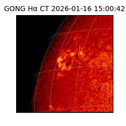 gong - 2026-01-16T15:00:42