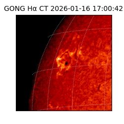 gong - 2026-01-16T17:00:42